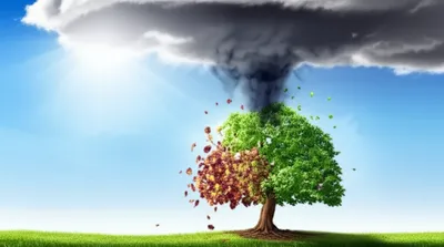 Illustration adversative - Image 1