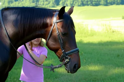 Illustration breathed - Image 1