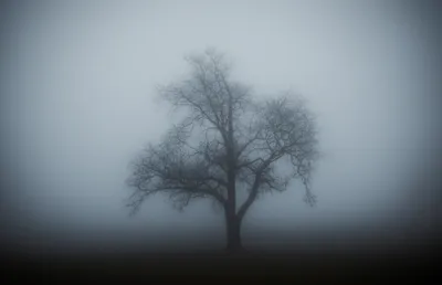 Illustration cloud - Image 1