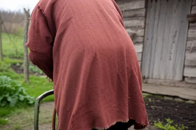 Illustration russets - Image 1