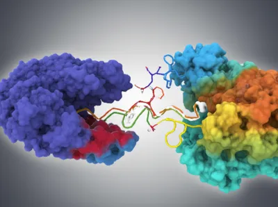 Illustration codes - Image 1