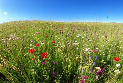 Illustration obliques - Image 1