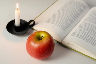 Illustration all - Image 1