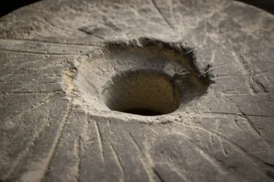 Illustration bosom - Image 1