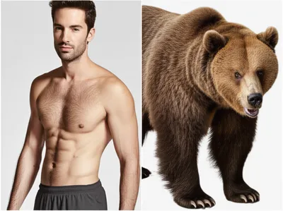 Illustration otters - Image 1