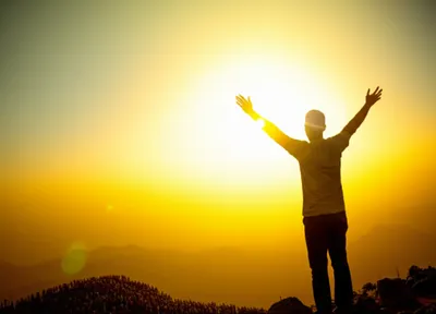 Illustration extols - Image 1