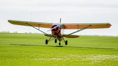 Illustration grassed - Image 1