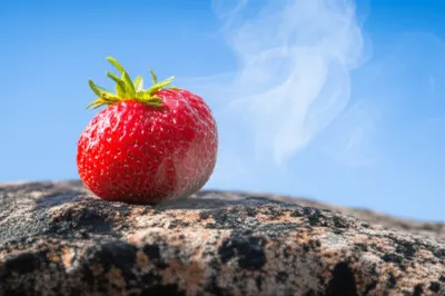 Illustration evaporates - Image 1