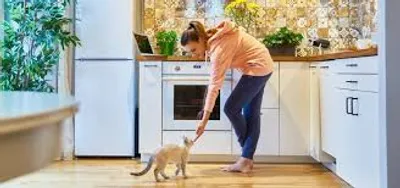 Illustration home - Image 2