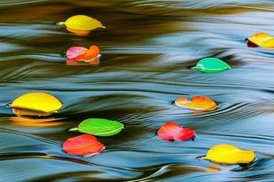 Illustration tide - Image 1