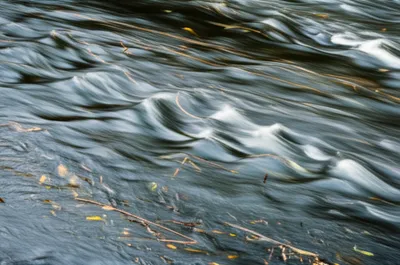 Illustration currents - Image 1