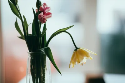 Illustration retroverted