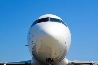 Illustration chin - Image 1