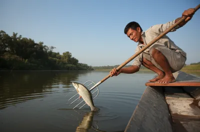 Illustration spears - Image 1