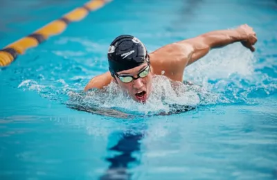 Illustration crawler - Image 1