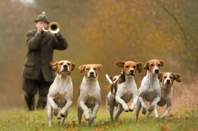 Illustration call - Image 1