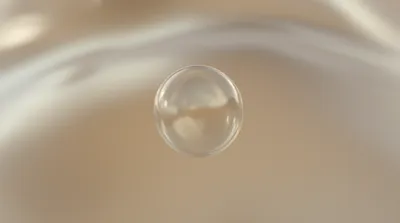 Illustration vesicle - Image 1