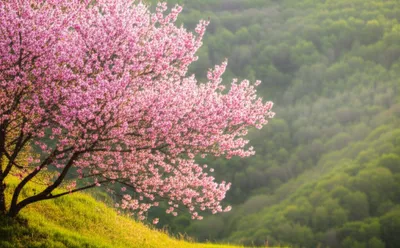 Illustration beauteous - Image 1