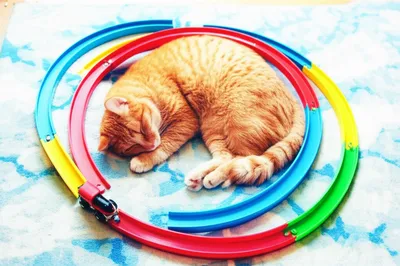 Illustration trains - Image 1