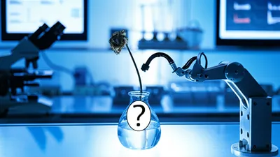 Illustration extrinsic - Image 1