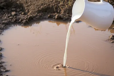 Illustration adulterating - Image 1