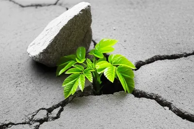 Illustration stunts - Image 1