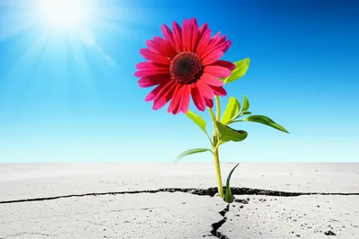 Illustration actualised - Image 1