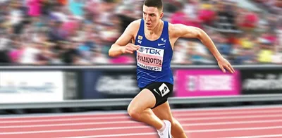 Illustration foils - Image 1