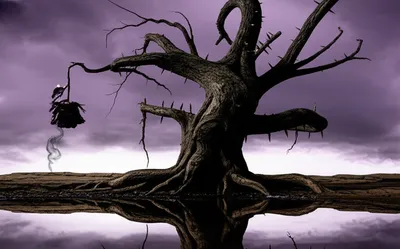 Illustration rancour - Image 1