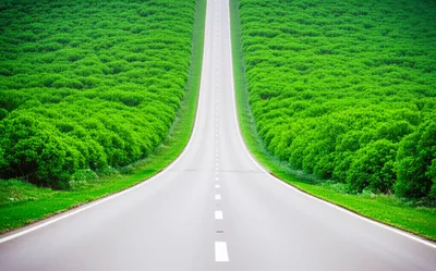 Illustration narrowing - Image 1