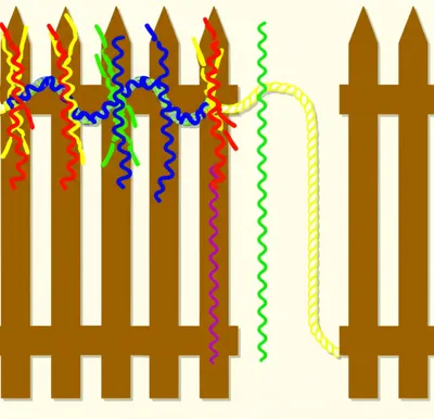 Illustration polarisation - Image 1