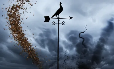 Illustration unpredictable - Image 1