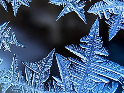 Illustration snows - Image 1