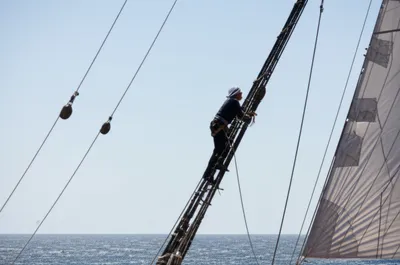 Illustration aloft - Image 1