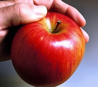 Illustration smalls - Image 1