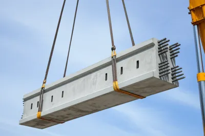 Illustration tendons - Image 1