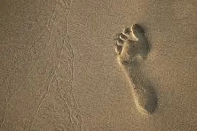 Illustration imprint - Image 2