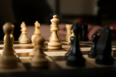 Illustration sacs - Image 1