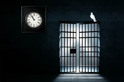 Illustration stay - Image 1