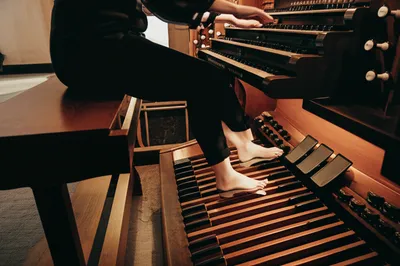 Illustration organist