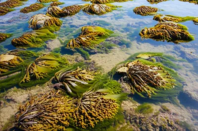 Illustration ware - Image 1