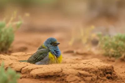 Illustration dust - Image 1