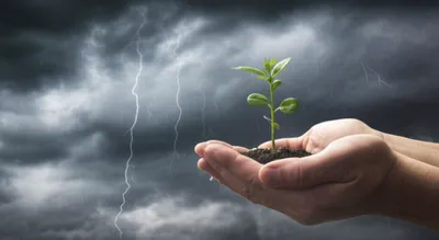 Illustration mitigating - Image 1