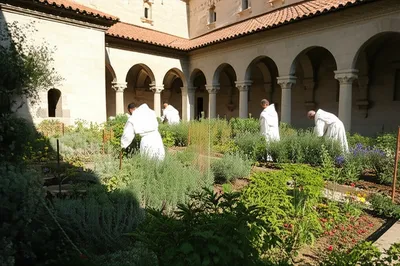 Illustration whiter - Image 1