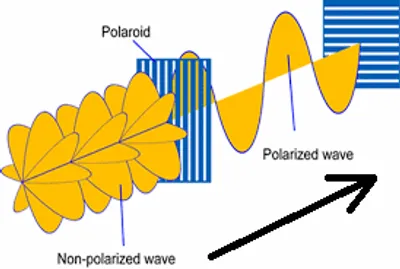 Illustration polarization - Image 2