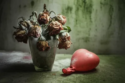 Illustration sappy - Image 1