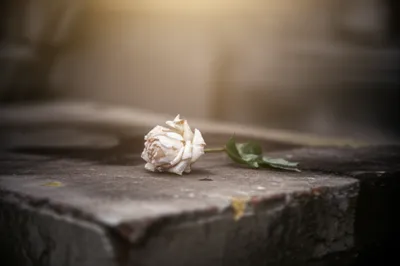 Illustration sacrificing - Image 1