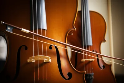 Illustration accompanied - Image 1