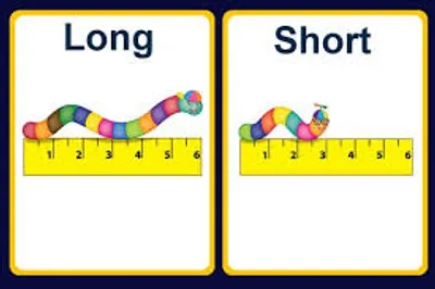 Illustration long - Image 3