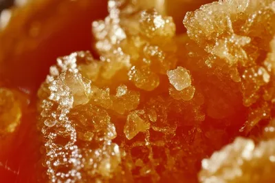 Illustration grained - Image 1